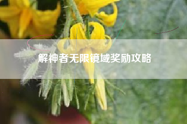 解神者无限镜域奖励攻略