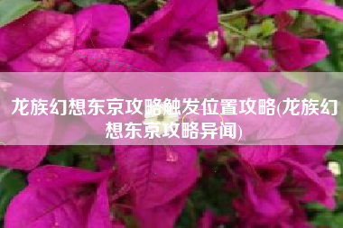 龙族幻想东京攻略触发位置攻略(龙族幻想东京攻略异闻)