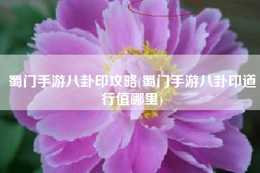 蜀门手游八卦印攻略(蜀门手游八卦印道行值哪里)