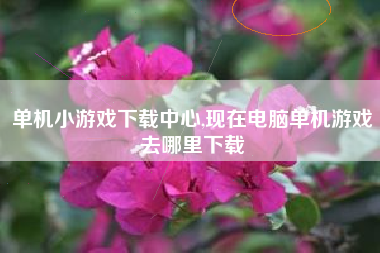 单机小游戏下载中心,现在电脑单机游戏去哪里下载