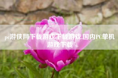 pc游侠网下载游戏下载游戏,国内PC单机游戏下载