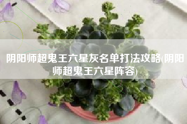 阴阳师超鬼王六星灰名单打法攻略(阴阳师超鬼王六星阵容)
