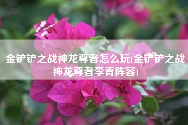 金铲铲之战神龙尊者怎么玩(金铲铲之战神龙尊者李青阵容)