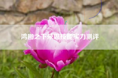 鸿图之下朵思技能实力测评
