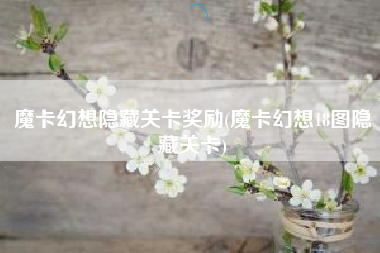 魔卡幻想隐藏关卡奖励(魔卡幻想18图隐藏关卡)
