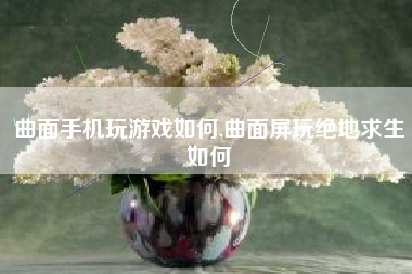 曲面手机玩游戏如何,曲面屏玩绝地求生如何