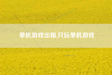 单机游戏出租,只玩单机游戏