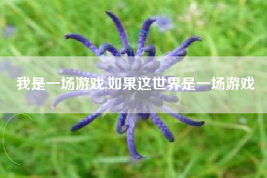 我是一场游戏,如果这世界是一场游戏