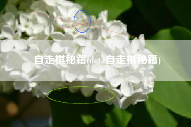 自走棋秘籍(dota自走棋秘籍)