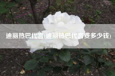 迪丽热巴代言(迪丽热巴代言费多少钱)
