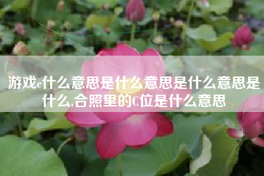 游戏c什么意思是什么意思是什么意思是什么,合照里的C位是什么意思
