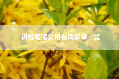 闪耀暖暖常用名词解释一览