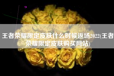 王者荣耀限定皮肤什么时候返场2022(王者荣耀限定皮肤购买网站)