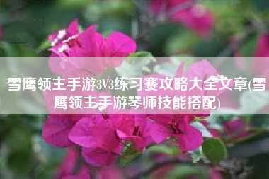 雪鹰领主手游3V3练习赛攻略大全文章(雪鹰领主手游琴师技能搭配)