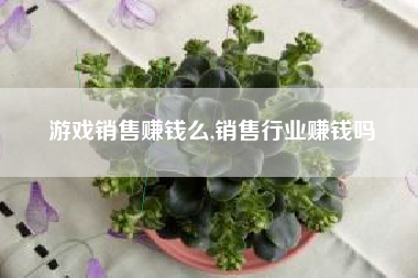 游戏销售赚钱么,销售行业赚钱吗