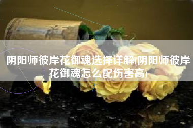 阴阳师彼岸花御魂选择详解(阴阳师彼岸花御魂怎么配伤害高)