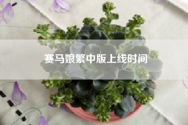 赛马娘繁中版上线时间