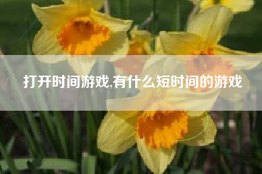 打开时间游戏,有什么短时间的游戏