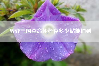 醉弈三国夺命使者存多少钻能抽到