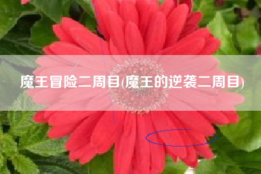 魔王冒险二周目(魔王的逆袭二周目)
