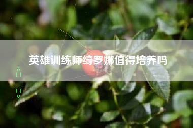 英雄训练师绮罗娜值得培养吗