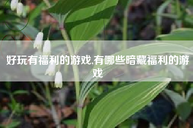 好玩有福利的游戏,有哪些暗藏福利的游戏