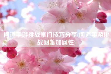 问道手游挑战掌门技巧分享(问道手游挑战图鉴加属性)