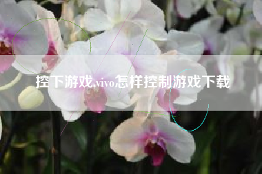 控下游戏,vivo怎样控制游戏下载