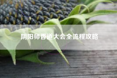 阴阳师香道大会全流程攻略