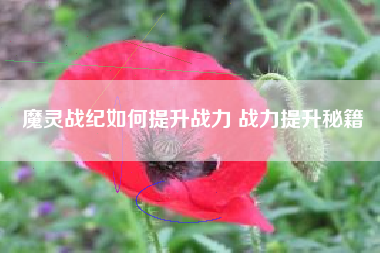 魔灵战纪如何提升战力 战力提升秘籍