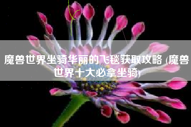 魔兽世界坐骑华丽的飞毯获取攻略 (魔兽世界十大必拿坐骑)