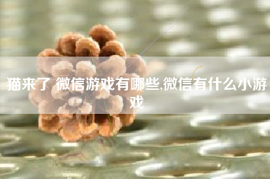 猫来了 微信游戏有哪些,微信有什么小游戏