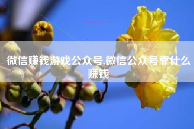 微信赚钱游戏公众号,微信公众号靠什么赚钱