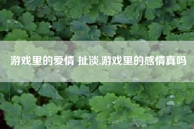 游戏里的爱情 扯淡,游戏里的感情真吗