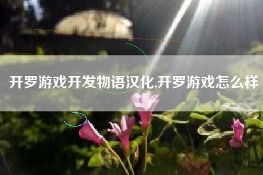 开罗游戏开发物语汉化,开罗游戏怎么样