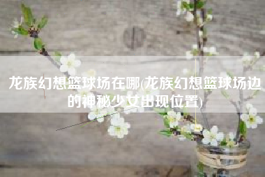 龙族幻想篮球场在哪(龙族幻想篮球场边的神秘少女出现位置)