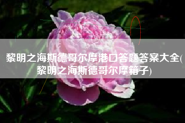 黎明之海斯德哥尔摩港口答题答案大全(黎明之海斯德哥尔摩箱子)