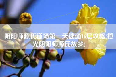 阴阳师源氏道场第一天速通16层攻略(橙光阴阳师源氏故梦)