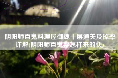 阴阳师百鬼料理屋御魂十层通关及掉率详解(阴阳师百鬼票怎样来的快)