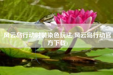 风云岛行动时装染色玩法(风云岛行动官方下载)