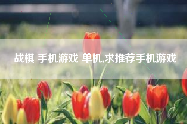 战棋 手机游戏 单机,求推荐手机游戏
