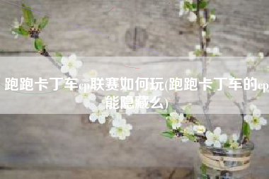 跑跑卡丁车cp联赛如何玩(跑跑卡丁车的cp能隐藏么)