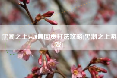 黑潮之上5-20盖因贡打法攻略(黑潮之上游戏)