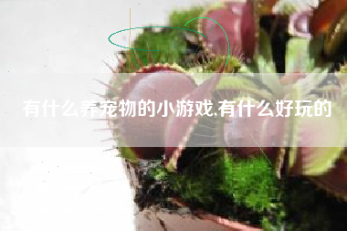 有什么养宠物的小游戏,有什么好玩的