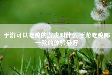 手游可以吃鸡的游戏叫什么,手游吃鸡哪一款的体验最好