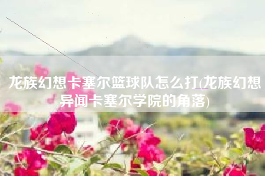 龙族幻想卡塞尔篮球队怎么打(龙族幻想异闻卡塞尔学院的角落)
