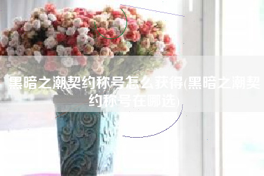 黑暗之潮契约称号怎么获得(黑暗之潮契约称号在哪选)