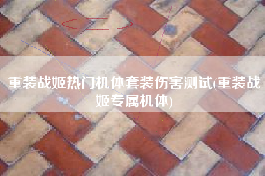 重装战姬热门机体套装伤害测试(重装战姬专属机体)