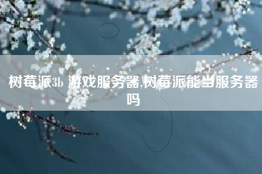 树莓派3b 游戏服务器,树莓派能当服务器吗