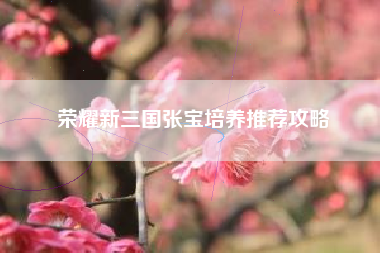 荣耀新三国张宝培养推荐攻略